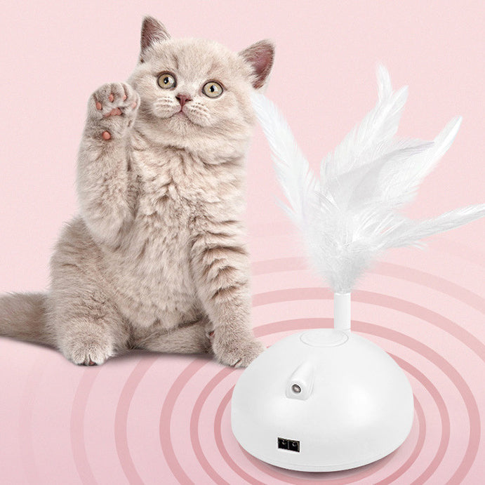 Why Your Cat Deserves the Automatic Funny Cat Stick